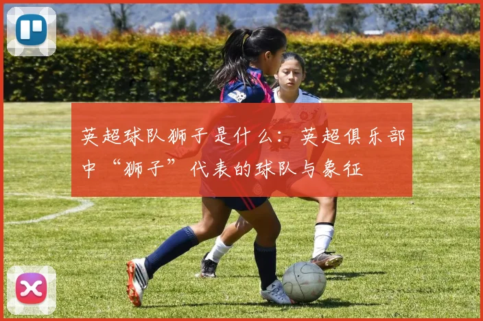 英超球队狮子是什么:英超俱乐部中“狮子”代表的球队与象征