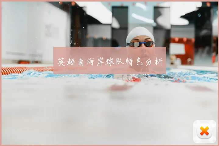 英超南海岸球队特色分析