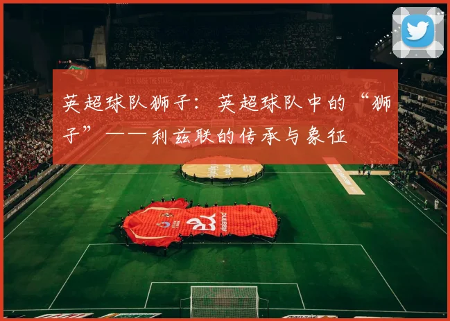 英超球队狮子：英超球队中的“狮子”——利兹联的传承与象征