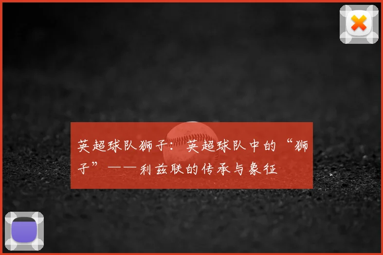 英超球队狮子:英超球队中的“狮子”——利兹联的传承与象征