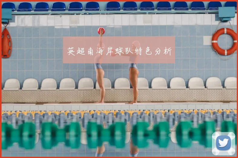 英超南海岸球队特色分析